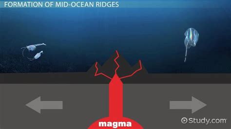 Mid-Ocean Ridge | Definition, Facts & Examples - Lesson | Study.com