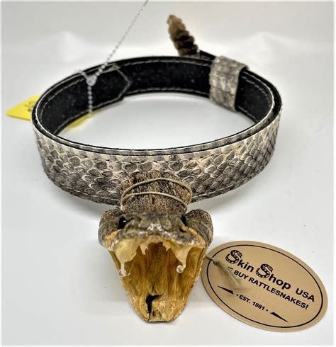 Genuine Rattlesnake Head and Rattle Hatband - Spencer's Western World