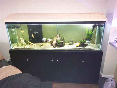 FS 125 gallon complete setup | British Columbia Aquarium Forums