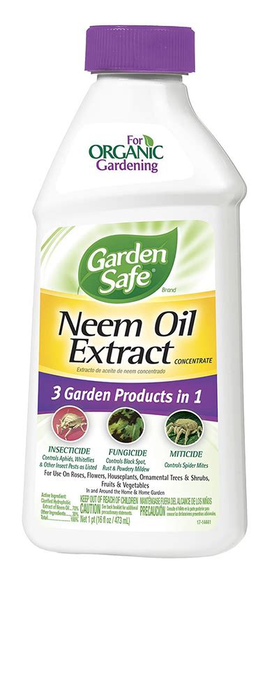 Neem Oil for Plants — Everything to Know About Neem Oil | Apartment Therapy