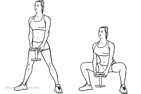 Sumo / Plié Dumbbell Squat | Illustrated Exercise guide - WorkoutLabs