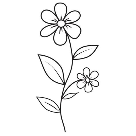 Flower Black And White Drawing