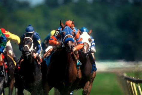 First Melbourne Cup Horse Race