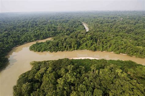 4 Misteri Tersimpan Di Hutan Amazon Konon Sangat Berbahaya 2022