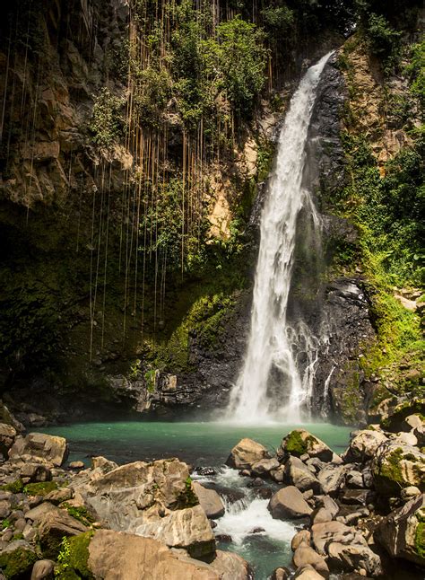 Waterfalls, Rivers and Rain Forest on Dominica - The New York Times