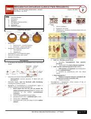 2~5 - Mesodermal Derivatives Hypomer 1.pdf - Mesodermal Derivatives ...