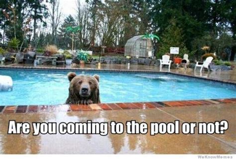 50 Hilarious Pool Memes To Get You Excited For The First Day Of Summer | Summer memes, Pool ...