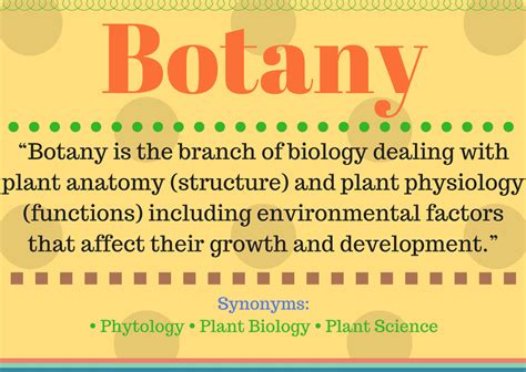 What is Botany? (Botany Definition and Its understanding)