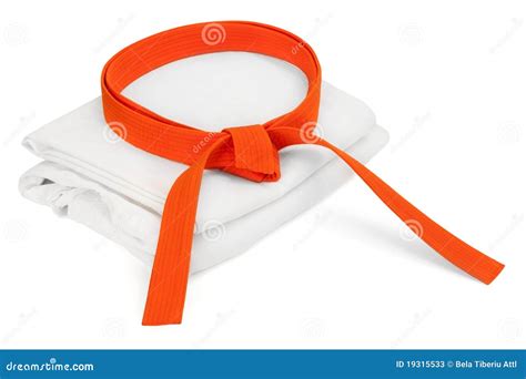 Orange Belt stock image. Image of karate, training, dojo - 19315533