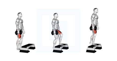 Dumbbell Single Leg Step Up - Guide, Benefits, and Form