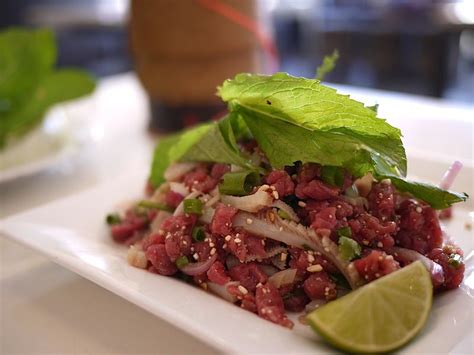 hmong beef larb recipe - Elida Duke