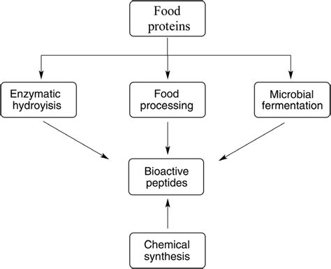 Schematic representation of the production of bioactive peptides... | Download Scientific Diagram