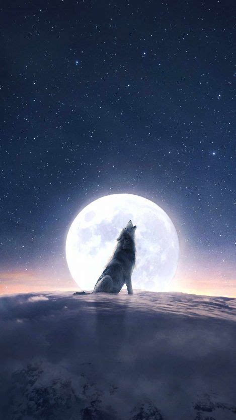 Wolf Wallpaper Moon - Wolf Wallpaper Dark Moon - Wolf photos wolf pictures beautiful wolves ...