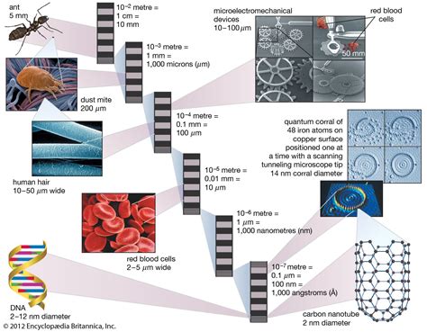 Nanotechnology | Manufacturing, Food Processing, & Atoms | Britannica