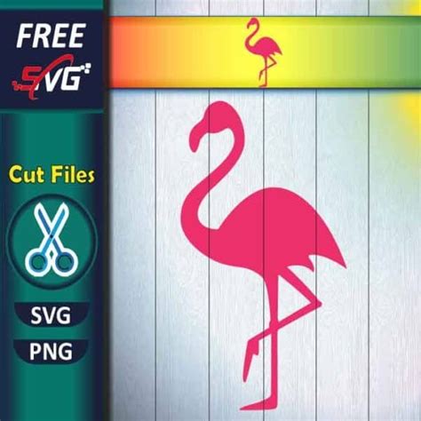 flamingo silhouette SVG free | flamingo svg for Cricut