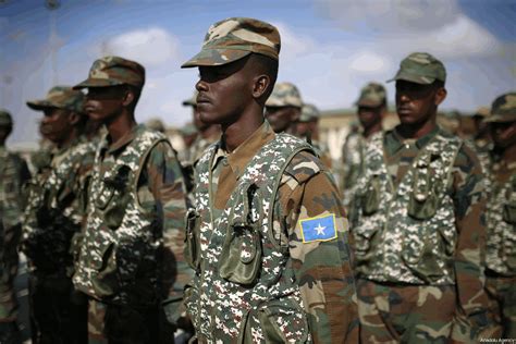 UAE halts military training in Somalia | Medafrica Times