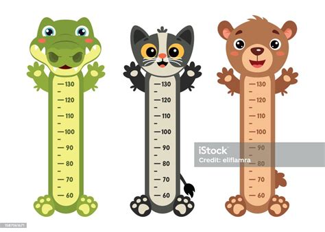 Height Chart With Cartoon Animals Stock Illustration - Download Image Now - Altitude Dial ...