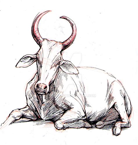 indian cow by saurin369 on DeviantArt