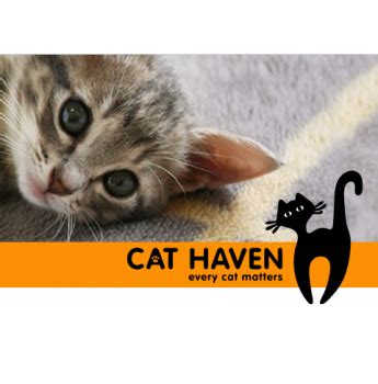 Cat Haven - Cat Rescue, Cat Adoption - Perth, WA