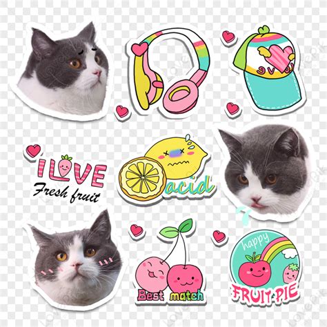 Cute Cat Emoji Pack,memes,packing,meme Free PNG And Clipart Image For ...