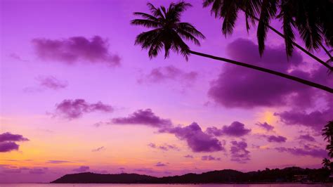 4k Purple Sunset Wallpapers - Wallpaper Cave