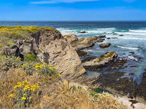 9 Fun Things to Do in Los Osos, California! - Roadtripping California