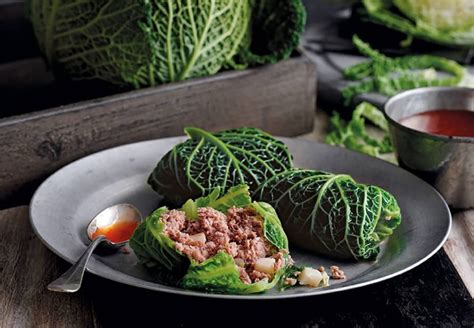 SAVOY CABBAGE: ITS USE AND HARM - Cabbage.news