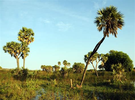 Traveling along the Niger River & Beyond