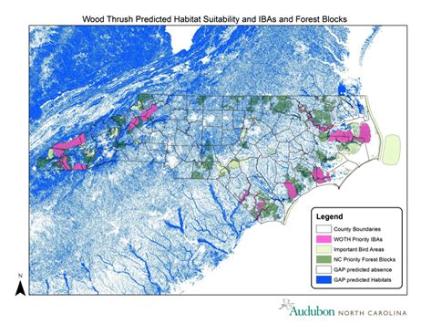 Mapping Wood Thrush Habitat for Conservation | Audubon North Carolina