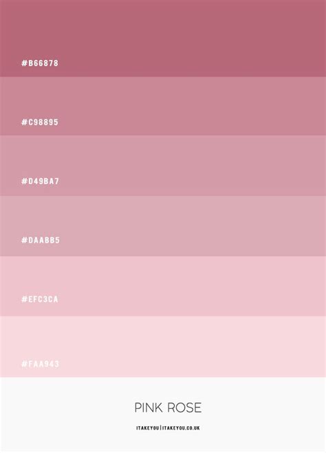 Pink Rose Colour Scheme #Colour Palette 67 | Hex color palette, Color palette pink, Pantone ...