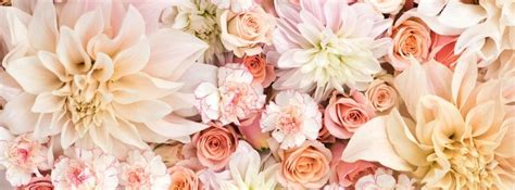 Flowers Dahlias Roses and Carnations in Pastels Facebook cover ...