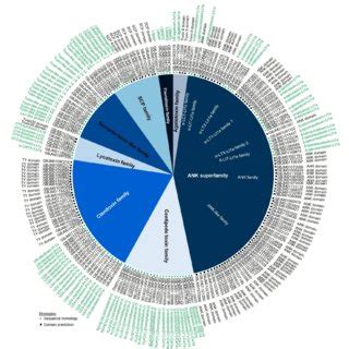 Gene ontology classifications of assembled unigenes Latrodectus... | Download Scientific Diagram