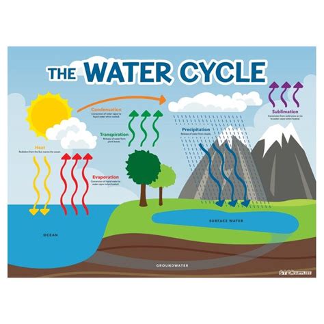 Water Cycle Poster - STEM Supplies