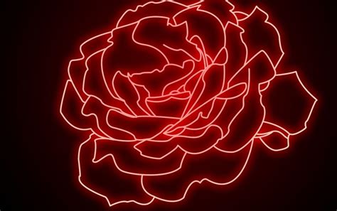 Neon Rose Wallpapers - Top Free Neon Rose Backgrounds - WallpaperAccess