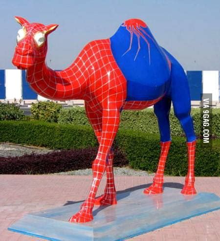 Searched for giant camel spider - 9GAG