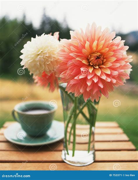 Coffee And Flowers Stock Image - Image: 753371