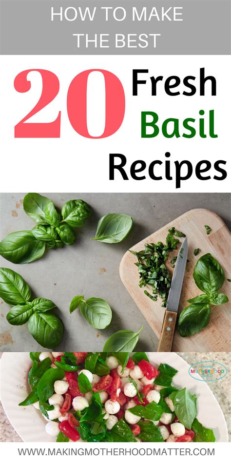 How to Make The Best 20 Fresh Basil Recipes | Making Motherhood Matter