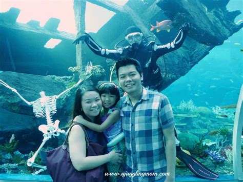 RWS S.E.A. Aquarium VIP Guided Tour - A Juggling Mom