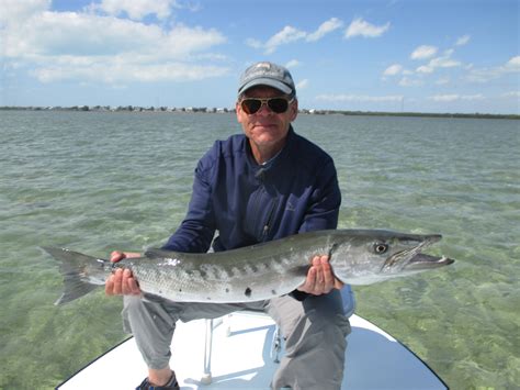 Barracuda | Fly Fishing Country