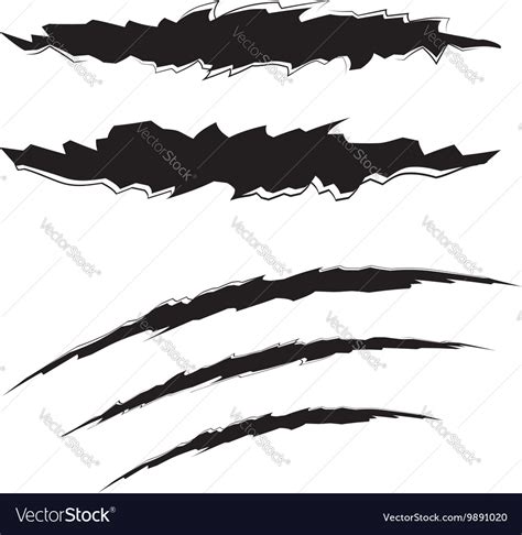 Grunge cat scratches Royalty Free Vector Image