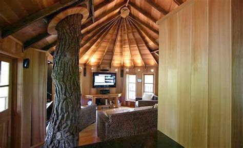 Tree House Interior Design.