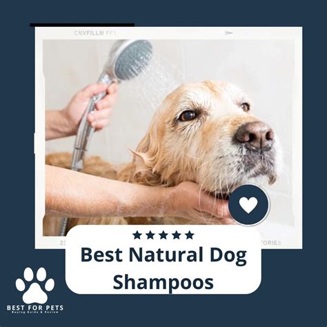 The 14 Best Natural Dog Shampoos of 2023