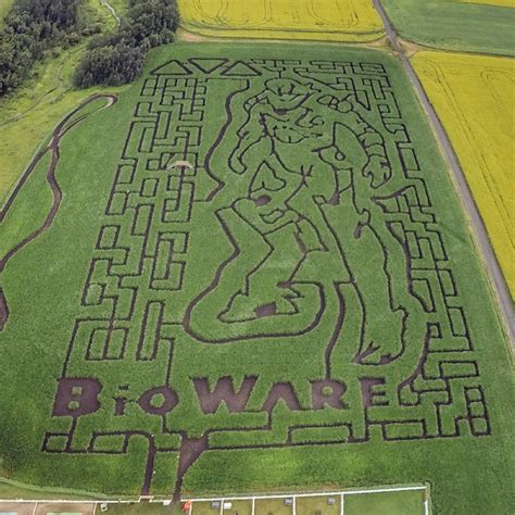 Maze | Edmonton's original corn maze