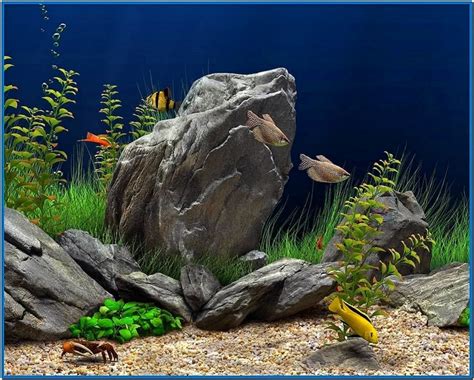 Dream Aquarium Screensaver Serial (Working) [BEST]