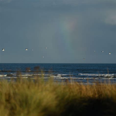 Nacreous Clouds