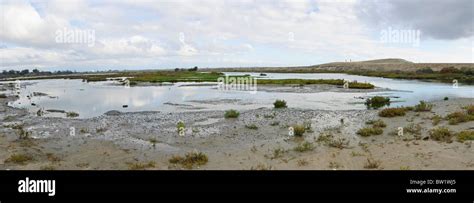 Bolsa Chica Ecological Reserve Wetlands Stock Photo - Alamy