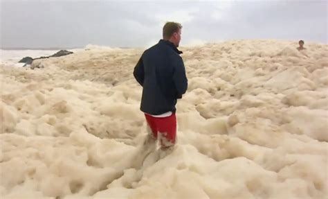 Possibly Snake Infested Sea Foam Washed Up in Australia