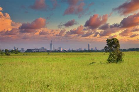 Nairobi skyline from Nairobi National Park Photograph by Ygber Gonzalez - Pixels