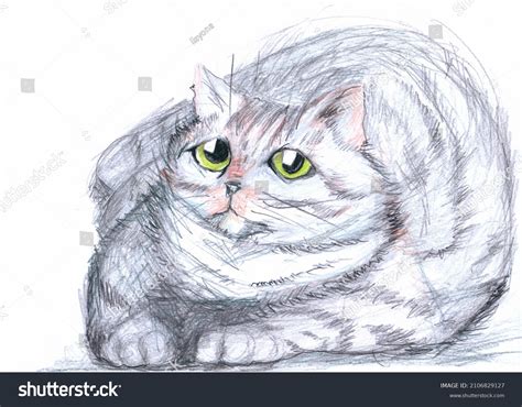 Grey Cat Green Eyes Hand Drawing Stock Illustration 2106829127 ...