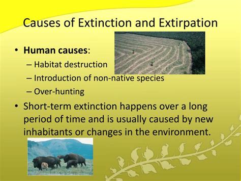 PPT - The Sixth Extinction? PowerPoint Presentation - ID:1953934